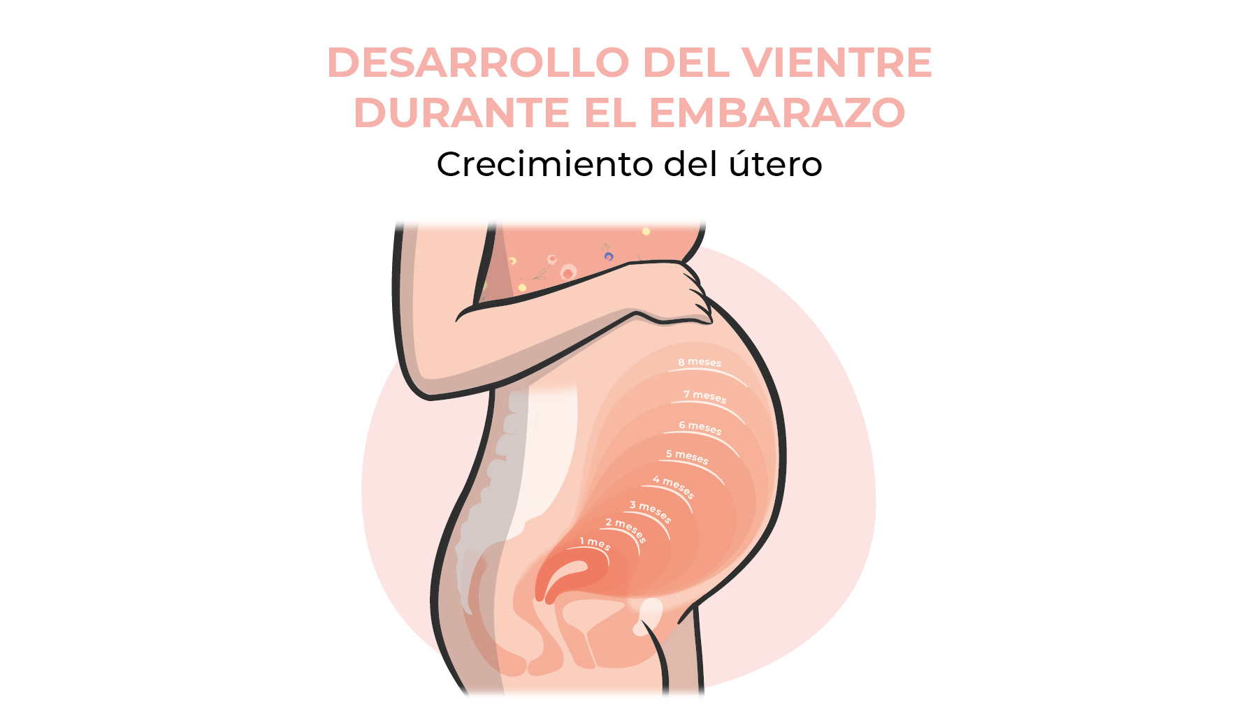 ballena azul Relativo cuerno 34 semanas de embarazo: guía del ginecólogo | KOOSH